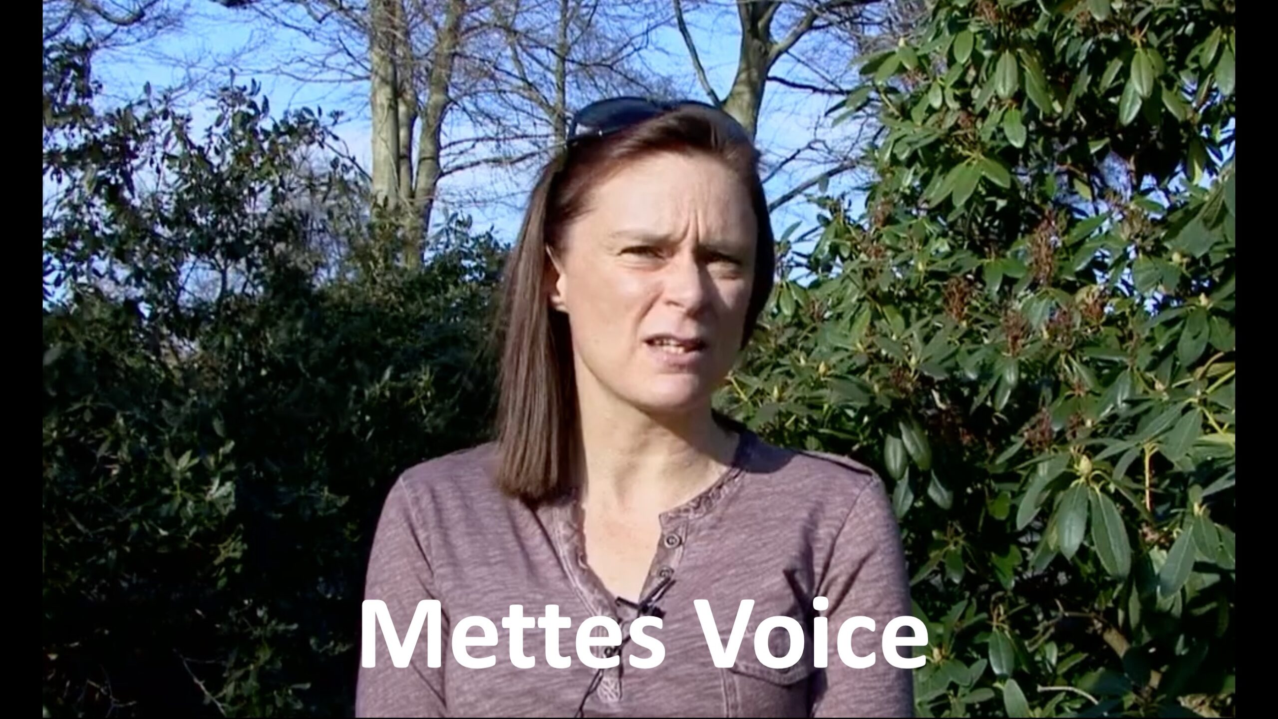 Mettes Voice