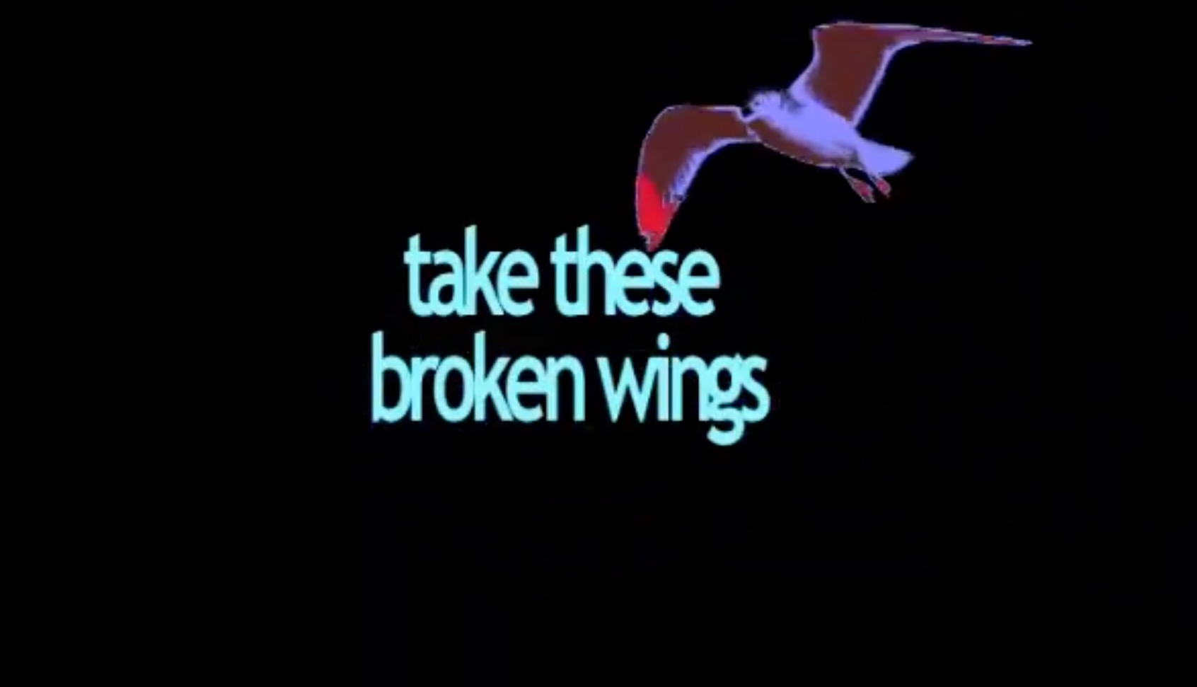 Take These Broken Wings